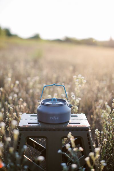 Чайник Tribe Kettle Alu 1 л алюмінієвий T-FI-0013-grey T-FI-0013-grey фото