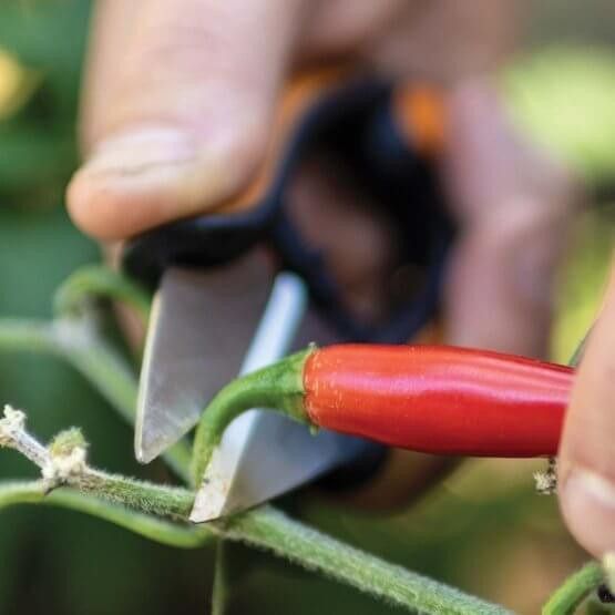 Ножницы для трав Fiskars SP-220 1063326 1063326 фото