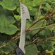 Топор мачете Fiskars Solid&trade; CL-581 1051236 1051236 фото 2