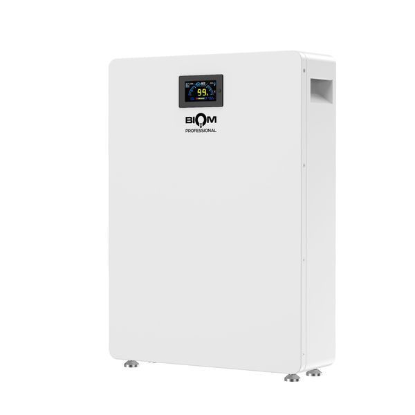 Акумуляторна батарея Biom Professional BALFP-512100-V1 51.2V, 100Ah, LiFePO4, 5.12kWh 00-00024075 фото