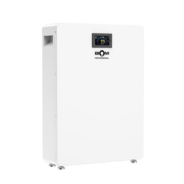Акумуляторна батарея Biom Professional BALFP-512100-V1 51.2V, 100Ah, LiFePO4, 5.12kWh 00-00024075 фото