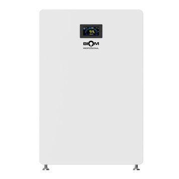 Аккумуляторная батарея Biom Professional BALFP-512200-V1 51.2V, 200Ah, LiFePO4, 10.24kWh 00-00024076 фото