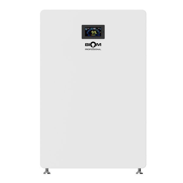 Аккумуляторная батарея Biom Professional BALFP-512200-V1 51.2V, 200Ah, LiFePO4, 10.24kWh 00-00024076 фото