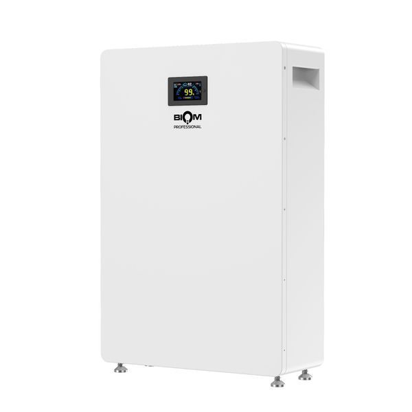 Аккумуляторная батарея Biom Professional BALFP-512200-V1 51.2V, 200Ah, LiFePO4, 10.24kWh 00-00024076 фото