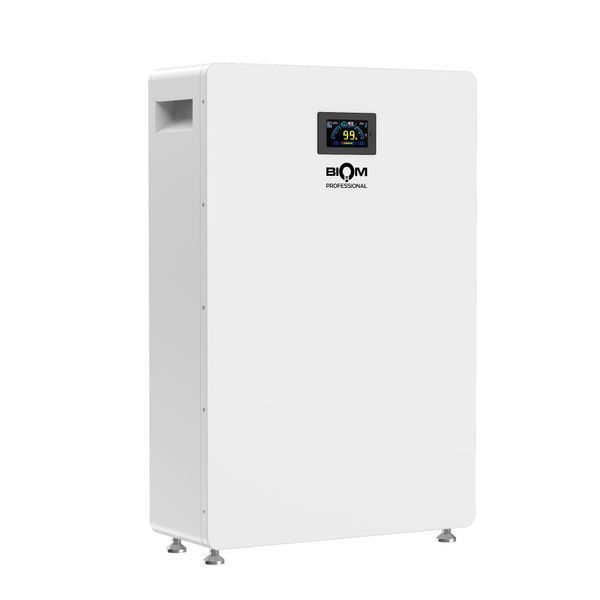 Аккумуляторная батарея Biom Professional BALFP-512200-V1 51.2V, 200Ah, LiFePO4, 10.24kWh 00-00024076 фото
