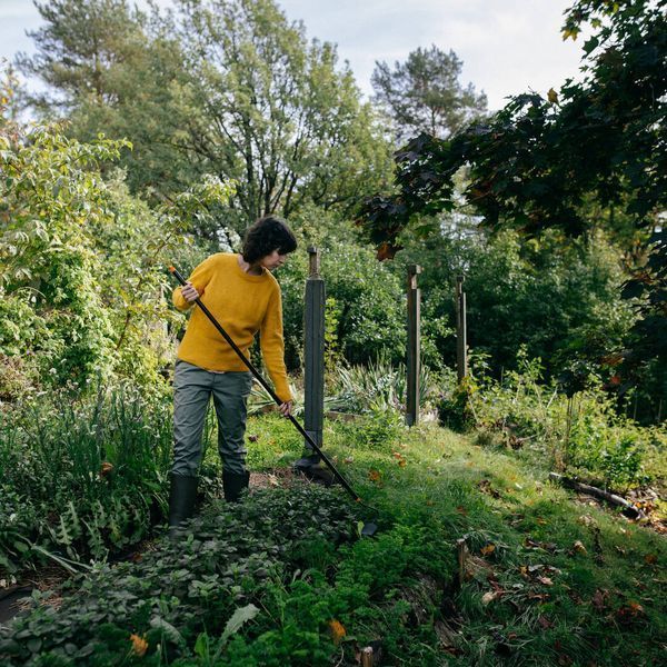 Садові граблі Fiskars Solid &trade; 135715 (1016036) 1016036 фото