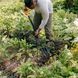 Вилы садовые Fiskars Solid 1070673 1070673 фото 3