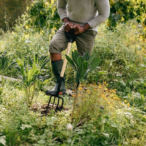 Вилы садовые с деревянной ручкой Fiskars Solid&trade; 1070676 1070676 фото