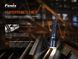 Фонарь ручной Fenix ​​C7 C7 фото 9