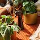 Пульверизатор для обприскування рослин Fiskars 1071306 1071306 фото 8