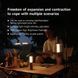 Багатофункціональний ліхтар-лампа NexTool Wukong Multifunctional Lamp NE20265 фото 8