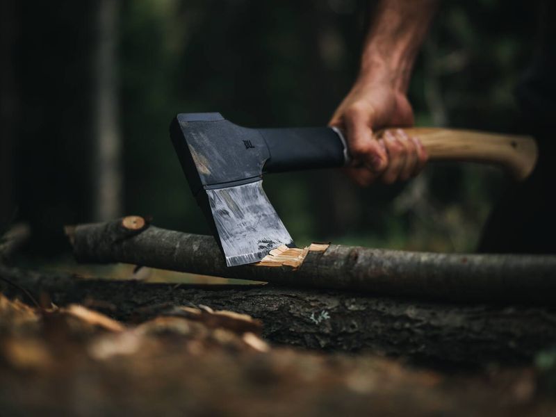 Универсальный топор Fiskars Norden N10 1051143 1051143 фото