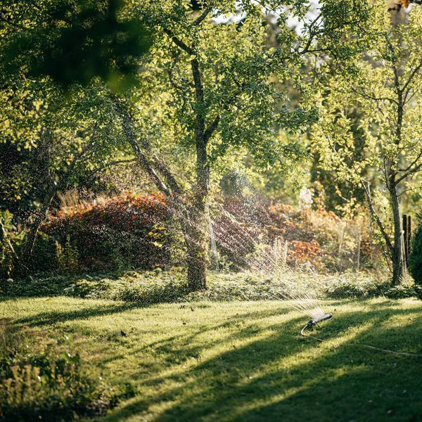 Дощувач Fiskars осцилюючий Fiskars X-Series L (1070831) 1070831 фото