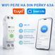 Автоматический выключатель AC SmartLife 1 P 63A 220V Zigbee энергомер, мониторингом, реле с таймером, MCB, и защитой авт.68 фото 3