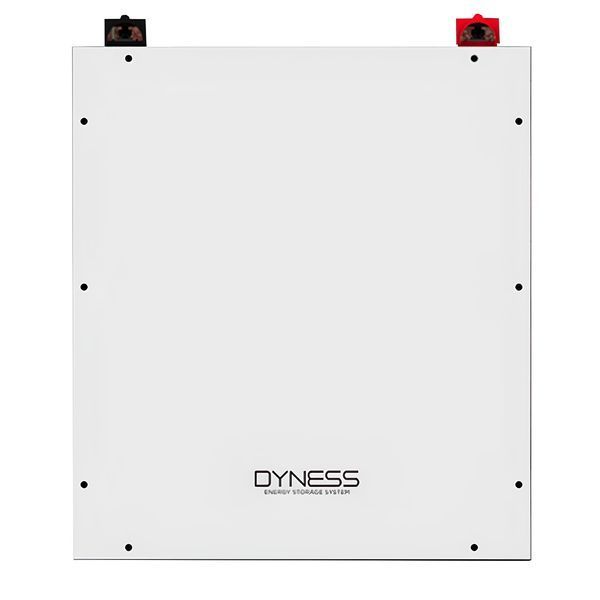 Аккумуляторная батарея Dyness DL5.0C, 51.2V, 100Ah, LiFePo4, 5.12kWh арт.503 фото