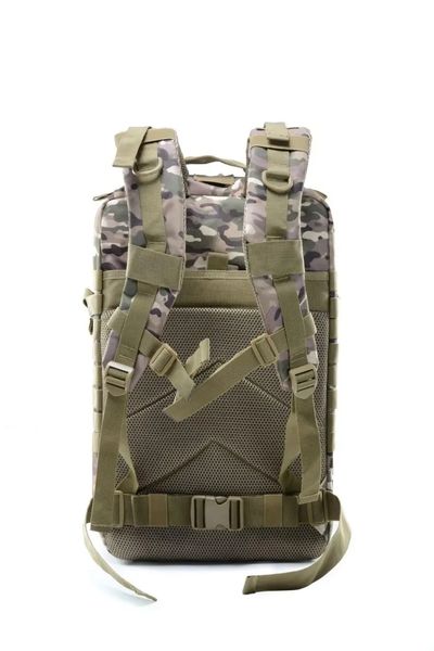 Рюкзак з Molle 45L Multicam BPM2302272CP фото