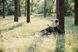 Спальний мішок Totem Fisherman ковдра лівий olive 180+40/75 UTTS-012 UTTS-012-L фото 7