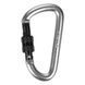 Брелок Salewa D-Shape Carbiner with screw 013.003.1434 фото 1