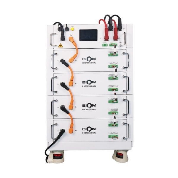 Акумуляторна батарея Biom Professional HV BAHV-100512-LFP 51.2V, 100Ah, LiFePO4, 5.12kWh 00-00026108 фото