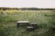 Стіл Tribe Camp Table Low пластиковий T-EF-0003-olive T-EF-0003-olive фото 18