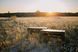 Стіл Tribe Camp Table Low пластиковий T-EF-0003-olive T-EF-0003-olive фото 4