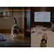 Фонарь Fenix ​​E06R бирюзовый E06R-TQ фото 13