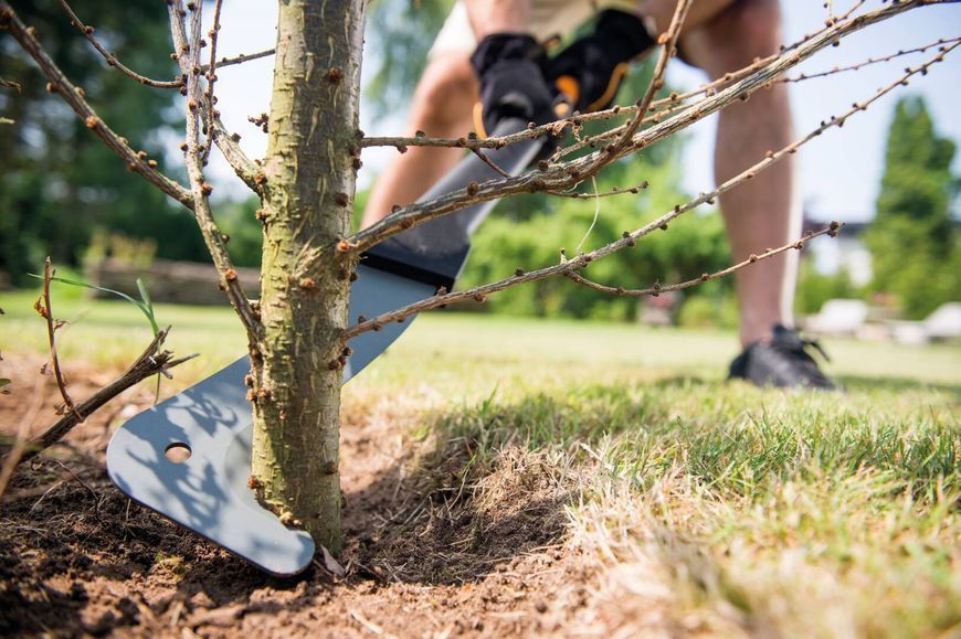 Великий сікач для сучків Fiskars WoodXpert XA23 126005 (1003621) 1003621 фото