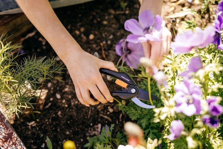 Площинний секатор Fiskars Single Step &trade; P26 111260 (1000567) 1000567 фото