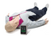 Манекен повноростовий Laerdal Resusci Anne QCPR D with Airway Head 176-01250 фото 2