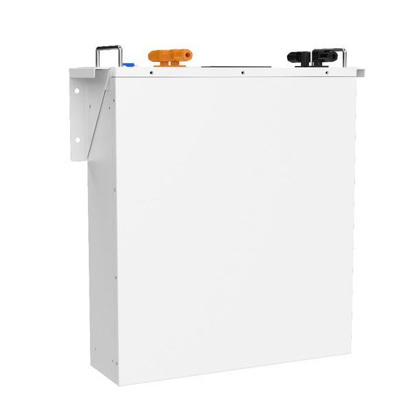 Аккумуляторная батарея Biom Professional BALFP-R512100-UNI 51.2V, 100Ah, LiFePO4, 5.12kWh 00-00027710 фото