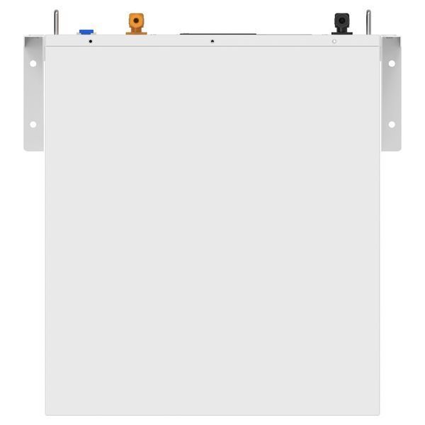 Аккумуляторная батарея Biom Professional BALFP-R512100-UNI 51.2V, 100Ah, LiFePO4, 5.12kWh 00-00027710 фото