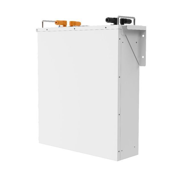 Аккумуляторная батарея Biom Professional BALFP-R512100-UNI 51.2V, 100Ah, LiFePO4, 5.12kWh 00-00027710 фото