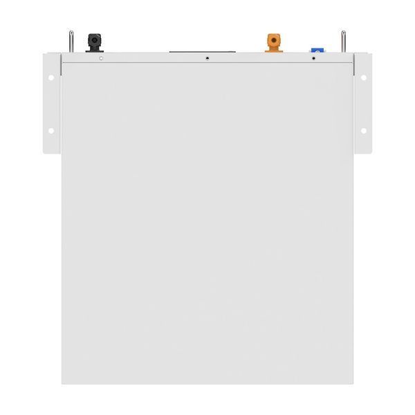 Аккумуляторная батарея Biom Professional BALFP-R512100-UNI 51.2V, 100Ah, LiFePO4, 5.12kWh 00-00027710 фото