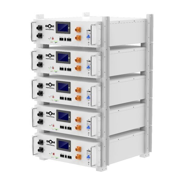 Аккумуляторная батарея Biom Professional BALFP-R512100-UNI 51.2V, 100Ah, LiFePO4, 5.12kWh 00-00027710 фото