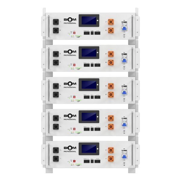 Аккумуляторная батарея Biom Professional BALFP-R512100-UNI 51.2V, 100Ah, LiFePO4, 5.12kWh 00-00027710 фото