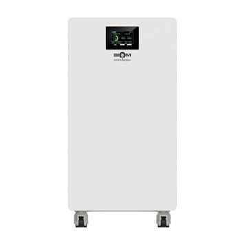 Аккумуляторная батарея Biom Professional Biom Professional BALFP-512314-V2 51.2V, 314Ah, LiFePO4, 16.08kWh 00-00028000 фото