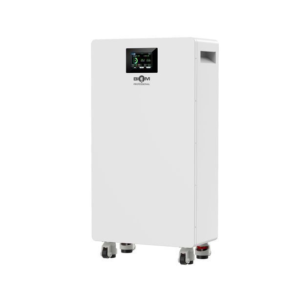Аккумуляторная батарея Biom Professional Biom Professional BALFP-512314-V2 51.2V, 314Ah, LiFePO4, 16.08kWh 00-00028000 фото