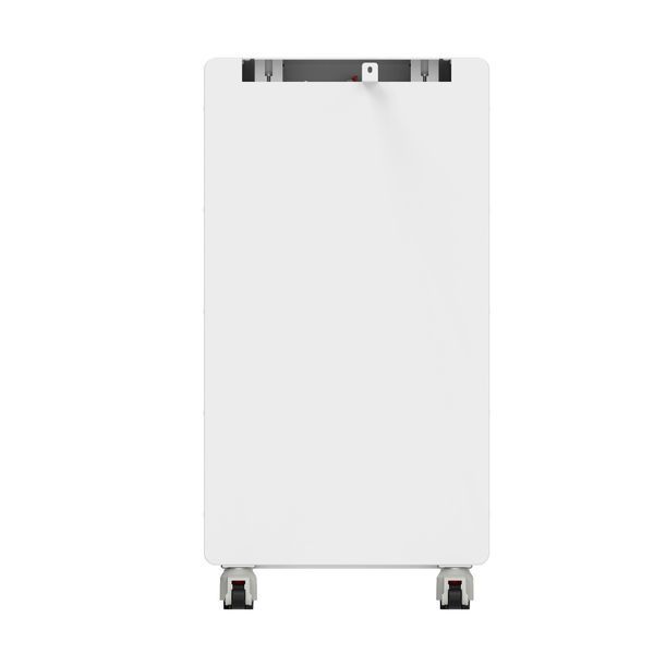 Аккумуляторная батарея Biom Professional Biom Professional BALFP-512314-V2 51.2V, 314Ah, LiFePO4, 16.08kWh 00-00028000 фото