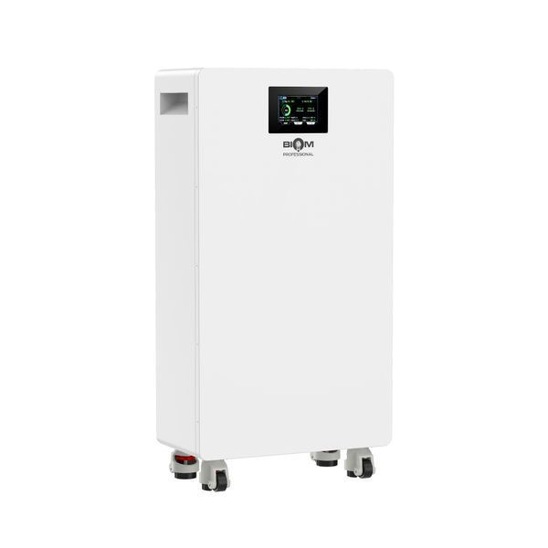 Аккумуляторная батарея Biom Professional Biom Professional BALFP-512314-V2 51.2V, 314Ah, LiFePO4, 16.08kWh 00-00028000 фото