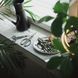 Набор для комнатных растений Fiskars 3-предметы (1075317) 1075317 фото 8