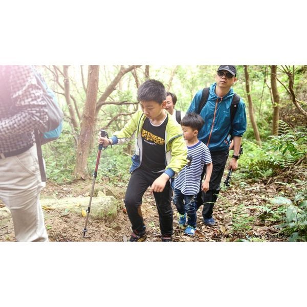 Трекинговая палка 3-сек. Naturehike Women 6061 AL NH17D001-Z, 57-120 см, алюминий, золотистая 6975641885597 фото