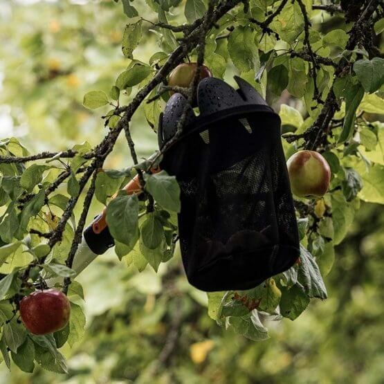Кошик для збирання фруктів Fiskars 1000693 1000693 фото