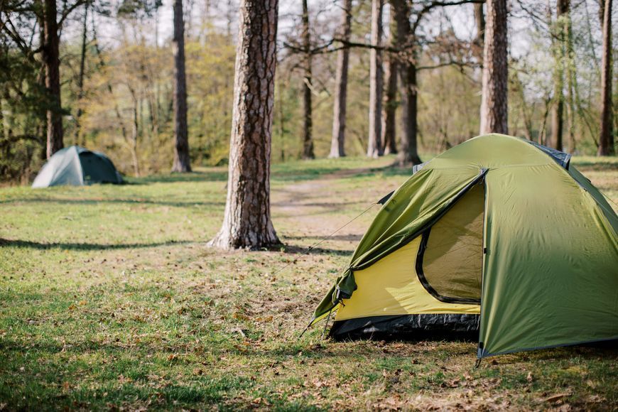 Палатка Tramp Lite Tourist 2 olive UTLT-004 UTLT-004-olive фото