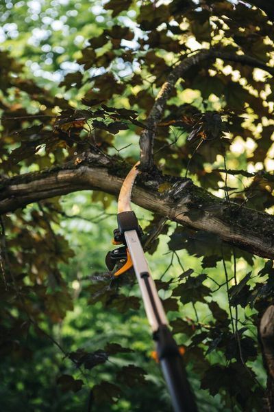 Пила-насадка для висоторізів Fiskars UPX86, UPX82 1023633 1023633 фото