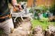 Ремінь для інструментів Fiskars WoodXpert 126009 (1003626) 1003626 фото 4