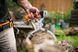 Ремінь для інструментів Fiskars WoodXpert 126009 (1003626) 1003626 фото 3