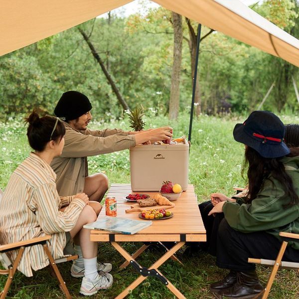 Туристический холодильник Naturehike CNK2300BS011, 13 л, бежевый 6976023925672 фото