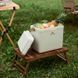 Туристический холодильник Naturehike CNK2300BS011, 13 л, бежевый 6976023925672 фото 3