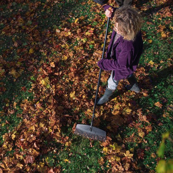 Граблі для листя Fiskars Solid M 1063090 1063090 фото