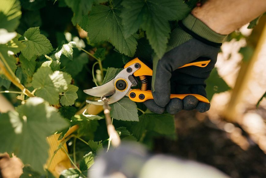 Професійний секатор Fiskars PB-8 середній 111850 (1020204) 1020204 фото